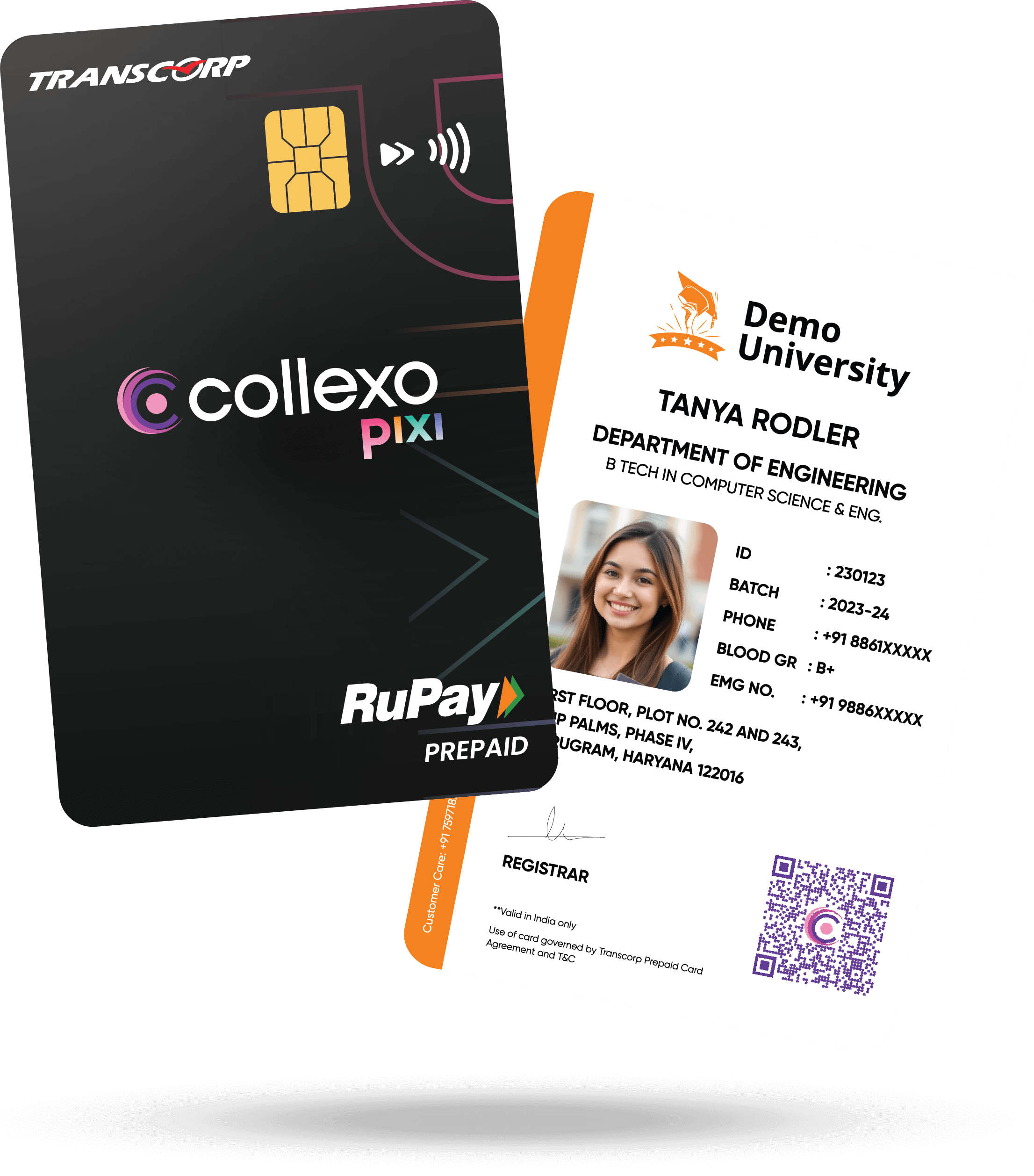 Pixi Card